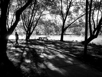 STA_365_June_650_1