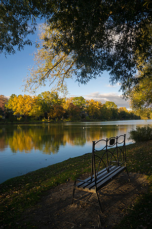 STA_365_3938_1