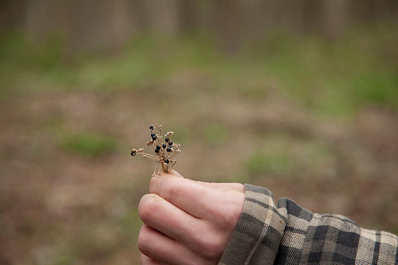 STA_Foraging_136