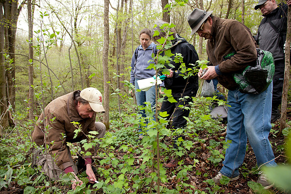 STA_Foraging_086