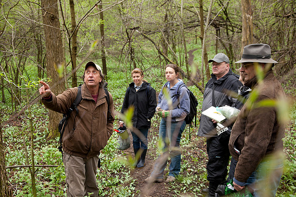 STA_Foraging_068