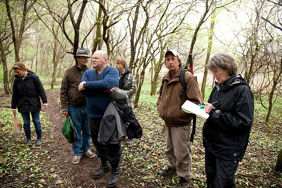 STA_Foraging_126