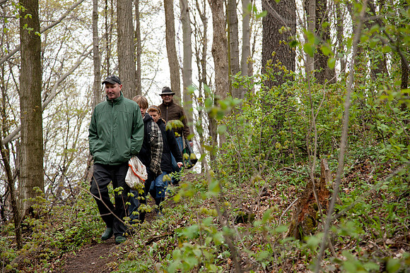 STA_Foraging_120