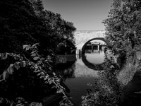 STA_365_1871_1