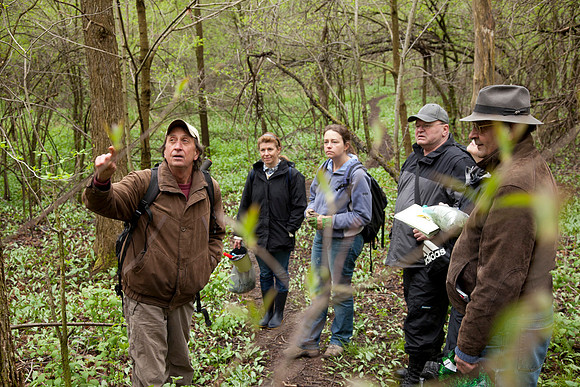 STA_Foraging_069