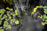 STA_365_3580