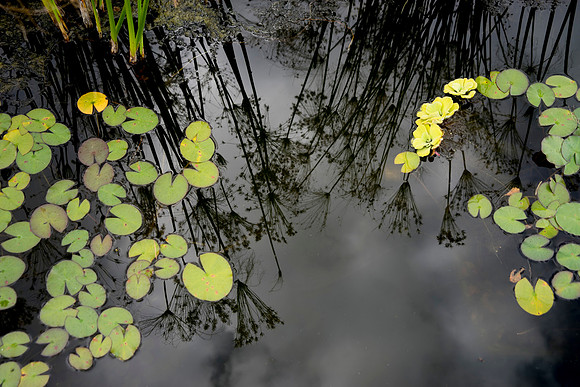 STA_365_3580