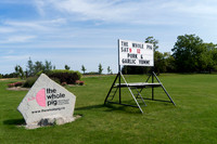 ToH_TWP_617