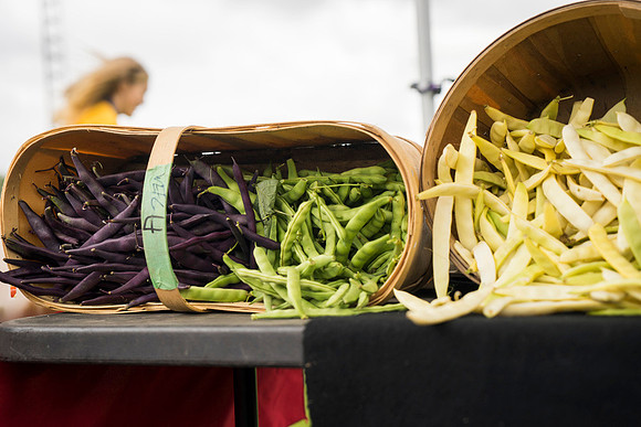 SS_Garlic Festival_694