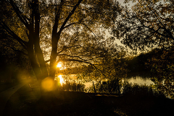 SS_Scenic_139