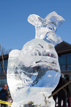 STA_365_6462