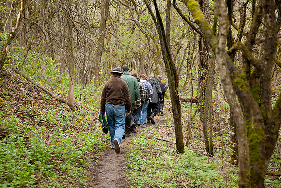 STA_Foraging_009