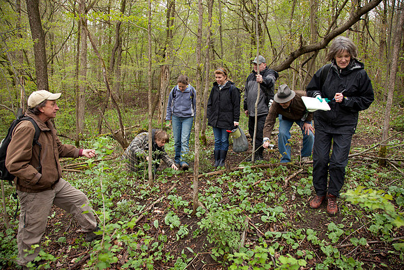 STA_Foraging_080