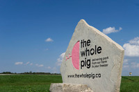 ToH_TWP_564