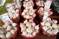 SS_Garlic Festival_682