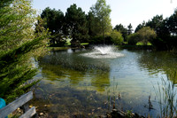 ToH_HL_576