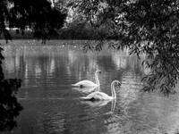 STA_43_1