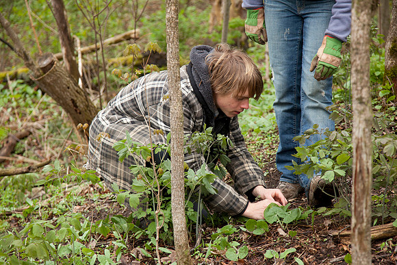 STA_Foraging_081