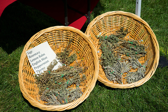 SS_Garlic Festival_707