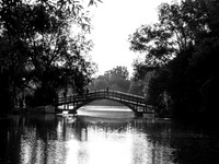 STA_365_1736_1