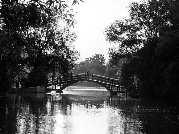 STA_365_1736_1