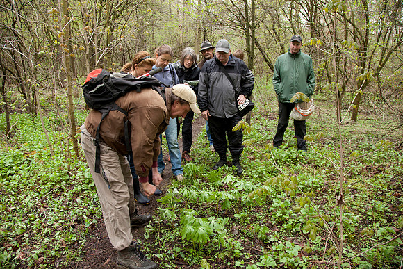 STA_Foraging_072
