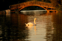 STA_365_2594 (1)