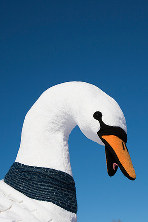 STA_365_6457