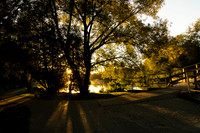 SS_Scenic_140