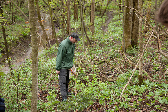 STA_Foraging_104