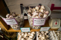 SS_Garlic Festival_675