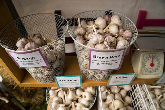 SS_Garlic Festival_675