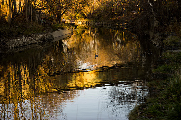 SS_Scenic_255