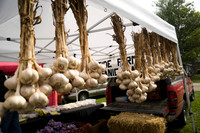 SS_Garlic Festival_687