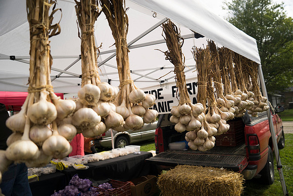 SS_Garlic Festival_687