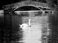 STA_365_2594 (1)_1