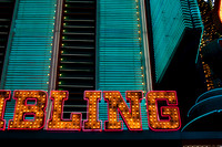 Vegas 2010