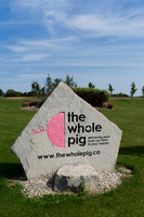 ToH_TWP_618