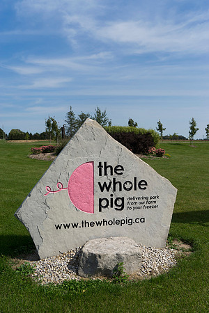 ToH_TWP_618
