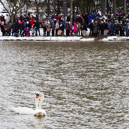 SS_SwanParade_0928