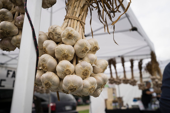 SS_Garlic Festival_679
