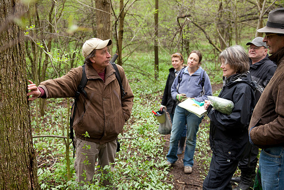 STA_Foraging_063