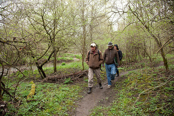 STA_Foraging_140