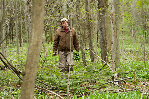 STA_Foraging_213
