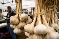 SS_Garlic Festival_688