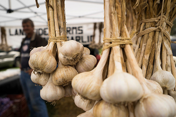 SS_Garlic Festival_688