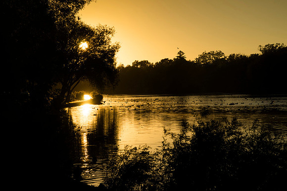 SS_Scenic_138