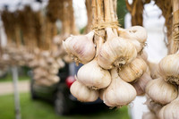 SS_Garlic Festival_680