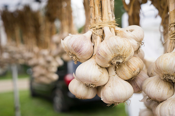 SS_Garlic Festival_680