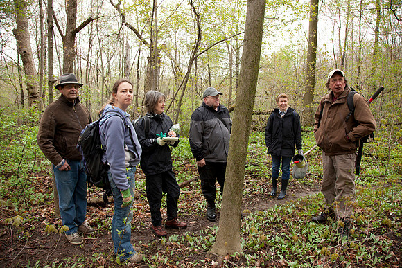 STA_Foraging_052